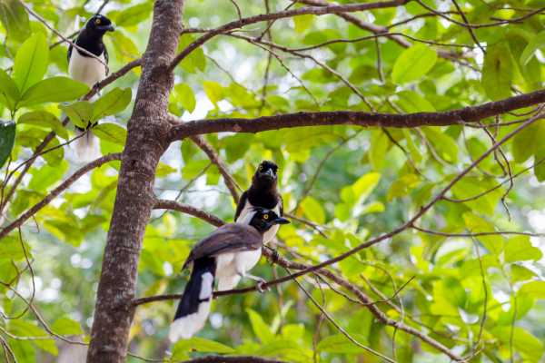 Misterio Waterfalls and Hot Springs Eco-Tour