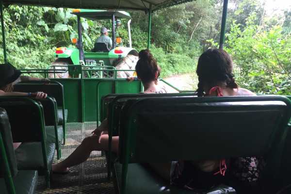 Buena Vista Mega Combo Day Pass