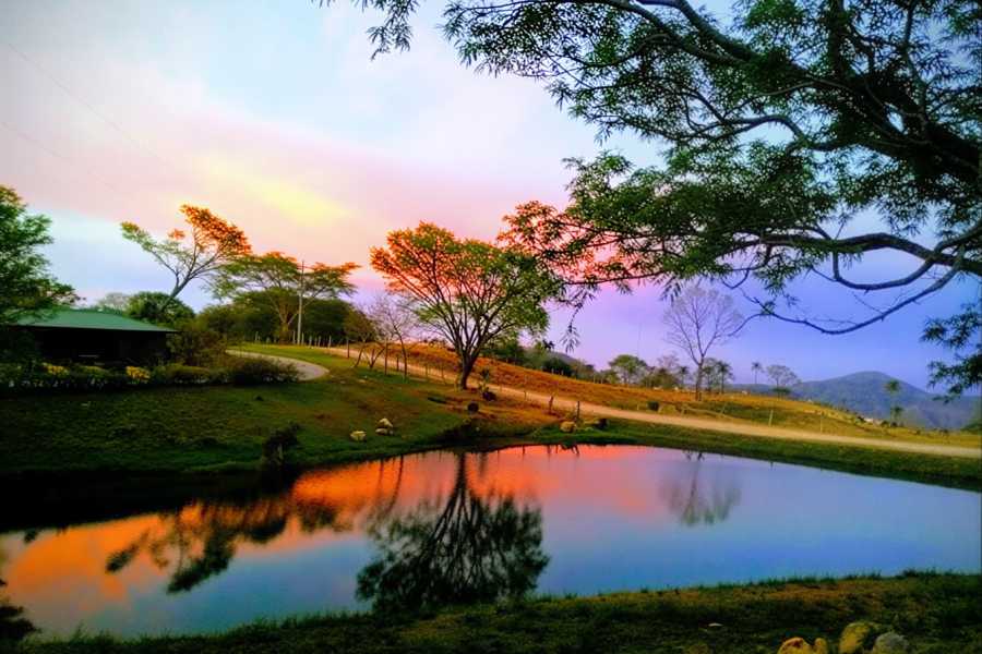 Tour Guanacaste Buena Vista Mega Combo Day Pass