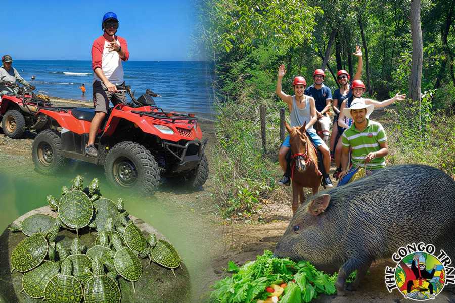 Congo Canopy ATV Horseback Monkey Combo