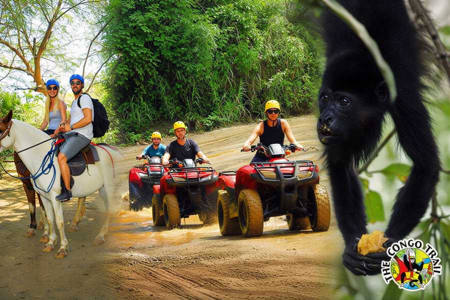 Congo Canopy ATV Horseback Monkey Combo