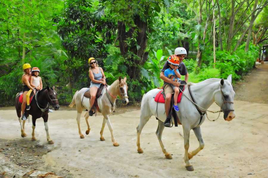 Congo Canopy Original Canopy and Horseback Combo