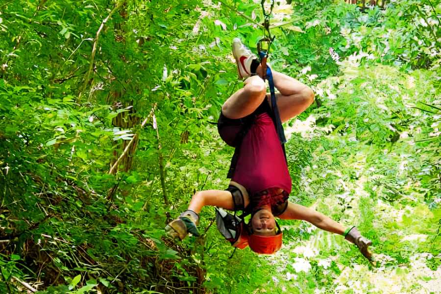Congo Canopy Canopy Horseback Monkey Combo