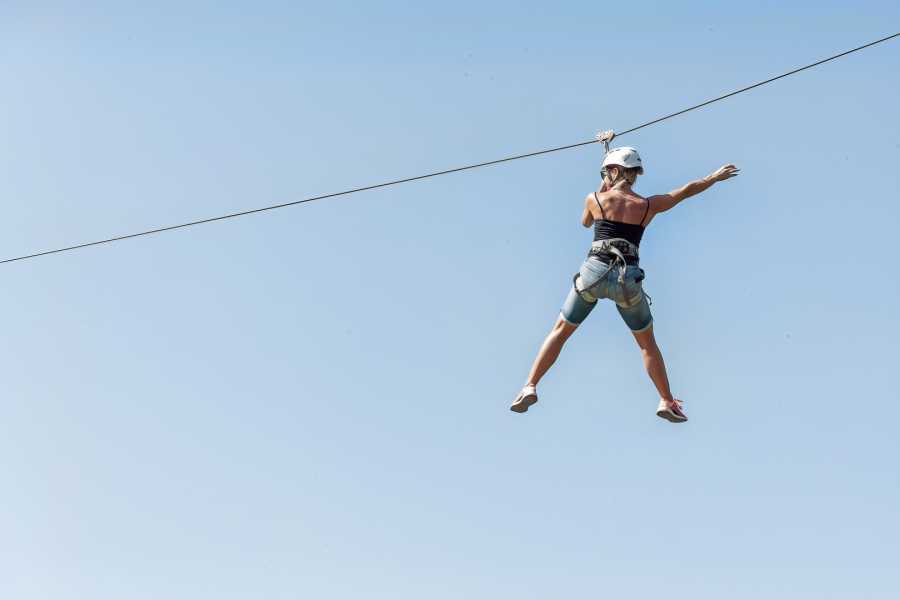 Congo Canopy Canopy Horseback Monkey Combo