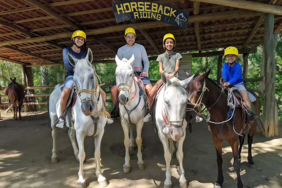 Congo Canopy Horseback Monkey Wild Life Park Combo