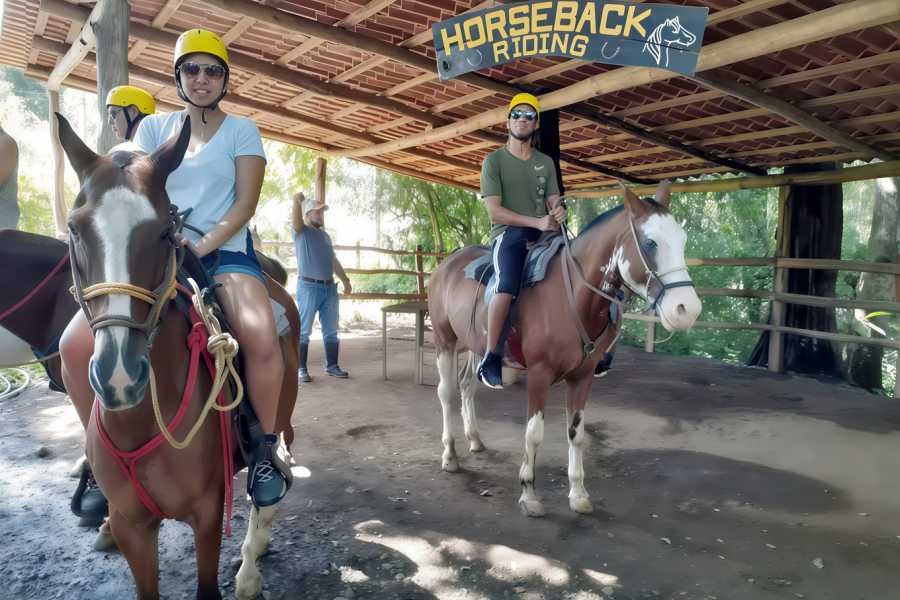 Congo Canopy Horseback Monkey Wild Life Park Combo