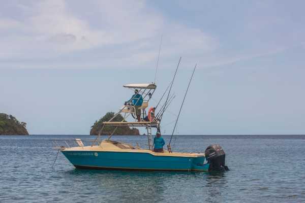 Flamingo Islands Snorkel Expedition