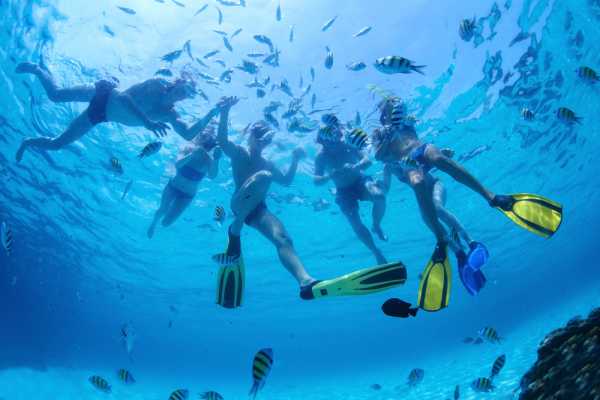 Flamingo Islands Snorkel Expedition