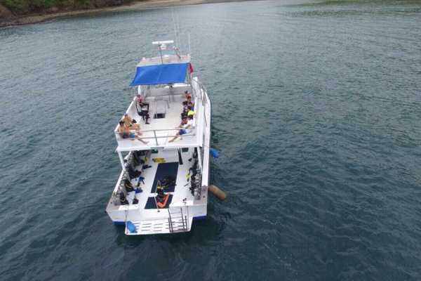 Flamingo Islands Snorkel Expedition
