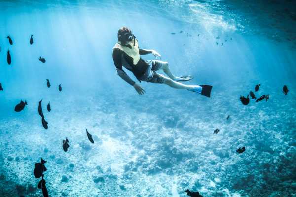 Flamingo Islands Snorkel Expedition