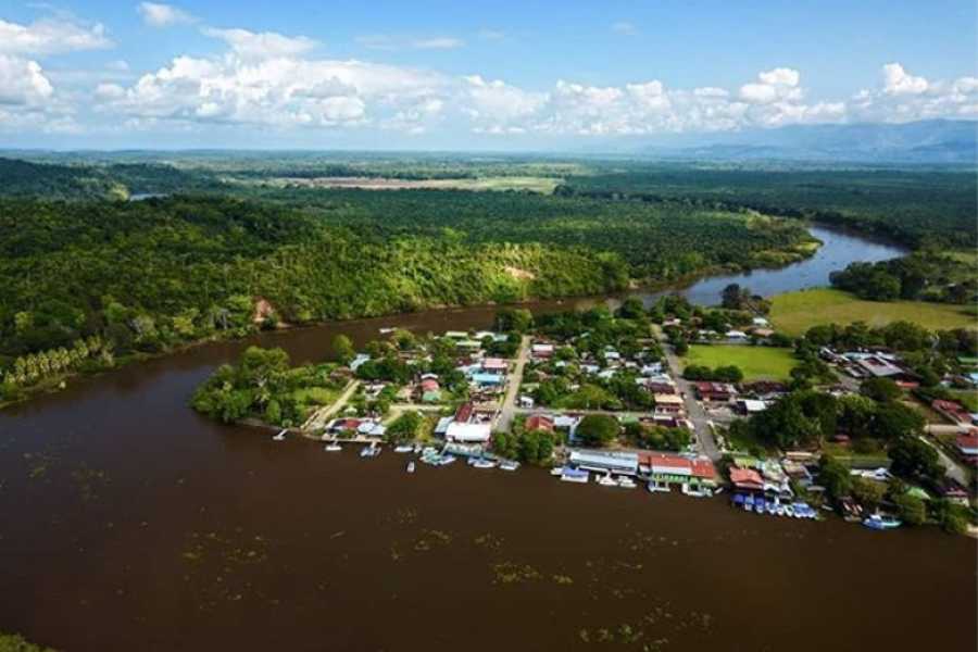 Uvita Information Center Sierpe Mangrove Boat Tour