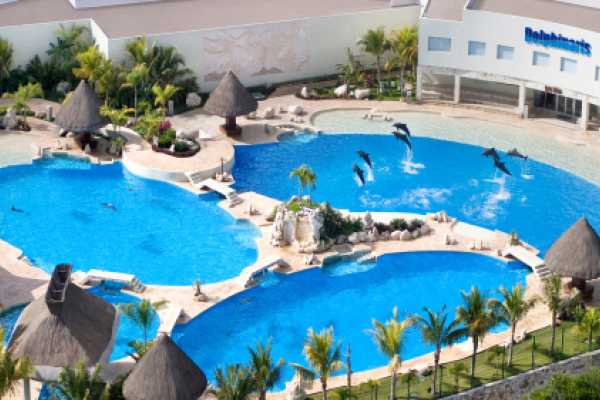 Interactive Dolphin Programs