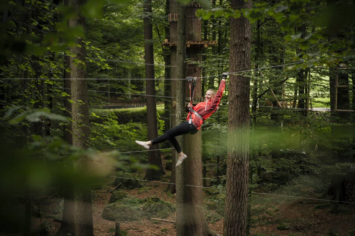 高空绳索课程 interlaken