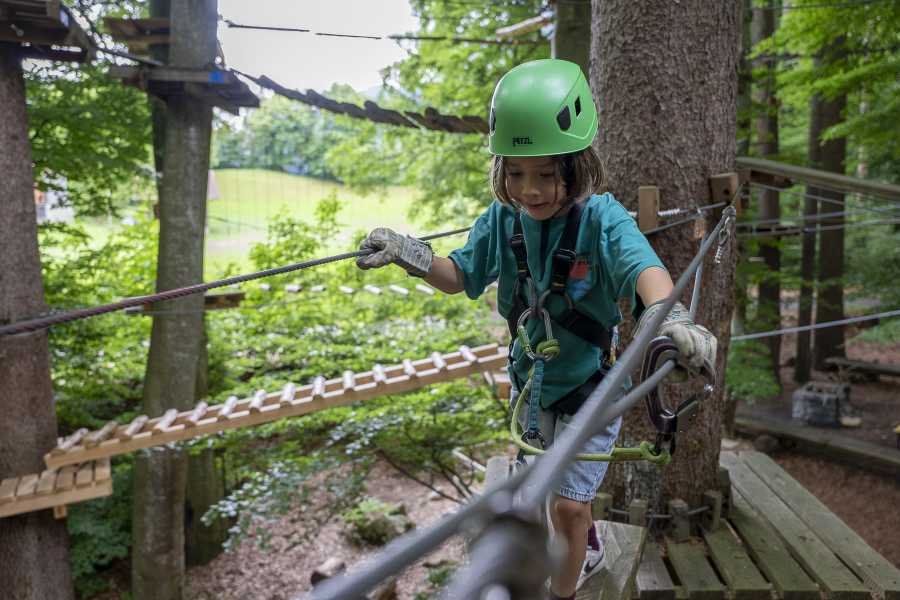 Outdoor Switzerland AG 因特拉肯户外绳索乐园（Adventure Park Interlaken）