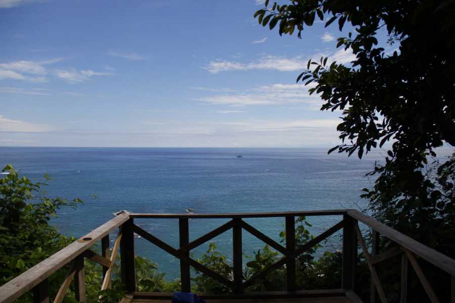 Uvita Information Center Caño Island from Sierpe - Snorkeling full day tour
