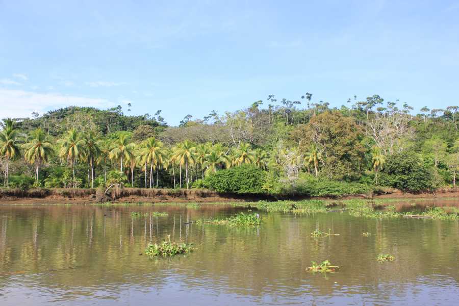 Uvita Information Center Corcovado day tour from Sierpe
