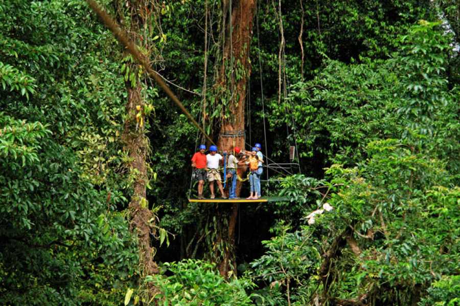 Uvita Information Center Osa Canopy Tour