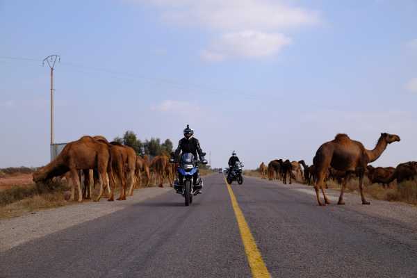 Challenging Roads Guided Off-Road Motorbike Tour - from Marrakesh