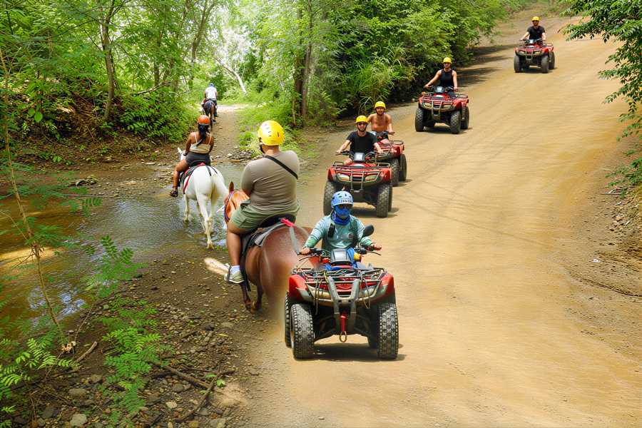 Congo Canopy ATV Horseback Combo