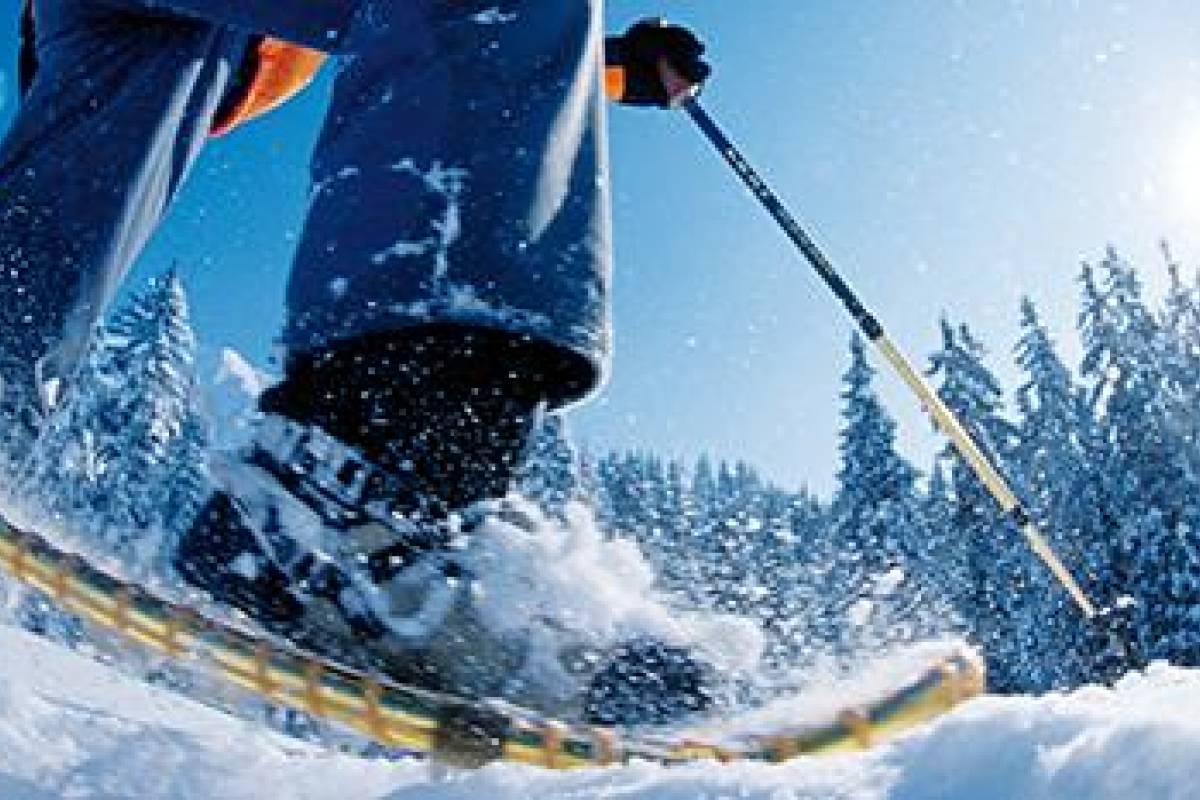 Snowshoe Tour Outdoor Interlaken