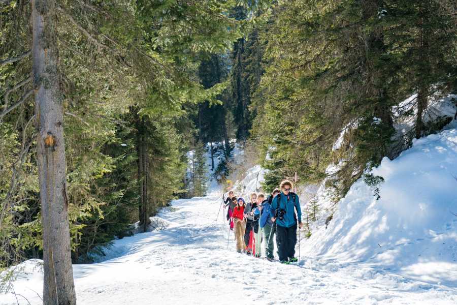 Outdoor Switzerland AG Snowshoe Adventure in the Swiss Alps