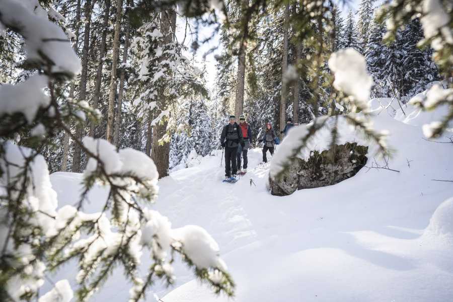 Outdoor Switzerland AG Snowshoe Adventure in the Swiss Alps
