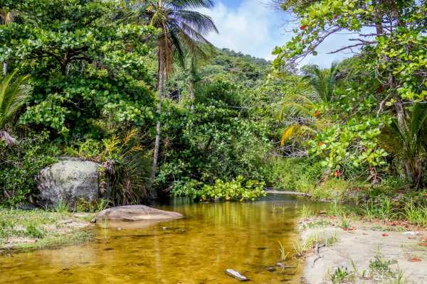 Angra dos Reis Island Exploration Cruise