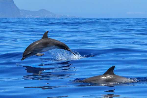 Angra dos Reis Island Exploration Cruise
