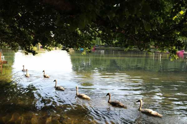 Elbasan, Pogradec and Korca