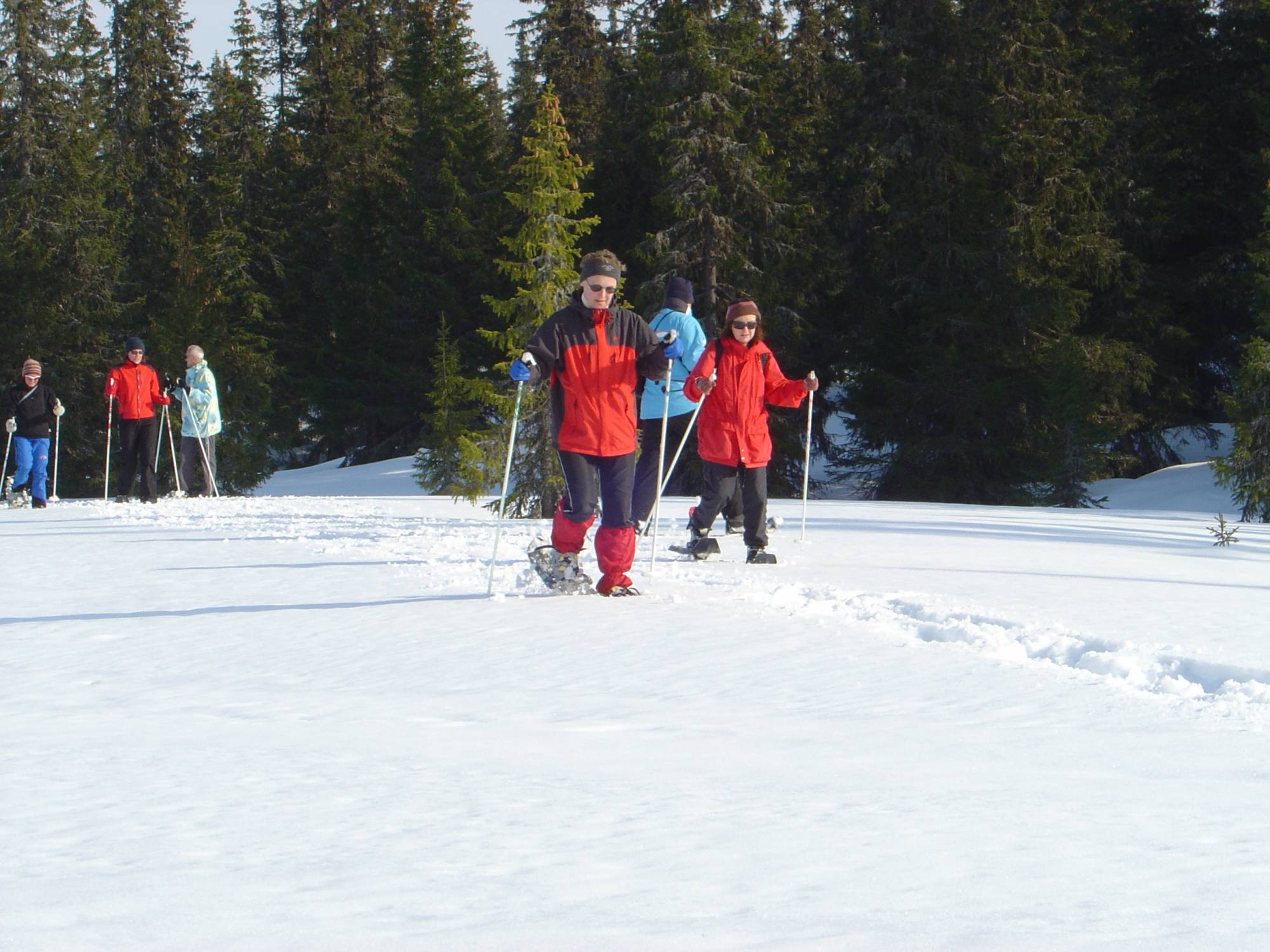 Snowshoe Rental Aktiv i Natur