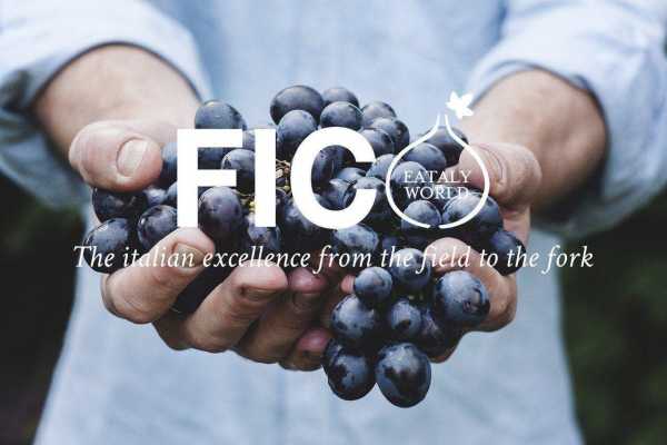 Rome 2 Bologna & FICO Eataly World