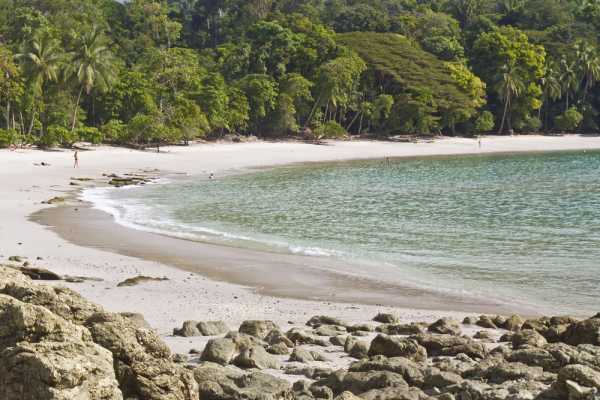Beach and Jungle ATV Tour