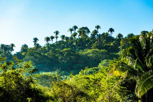 Beach and Jungle ATV Tour