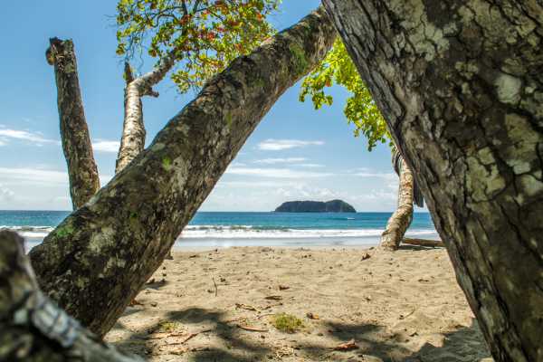 Beach and Jungle ATV Tour