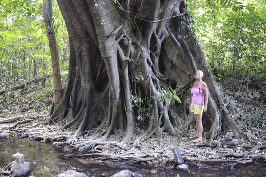 Sailtogether.com Thailand