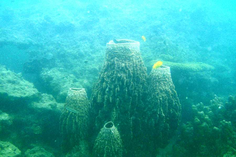 Sailtogether.com Thailand