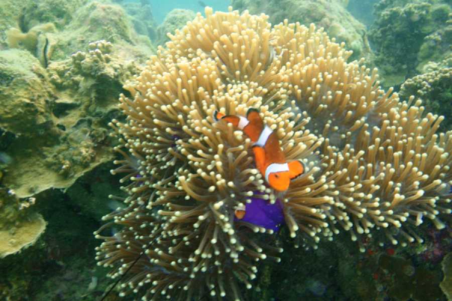 Sailtogether.com Thailand