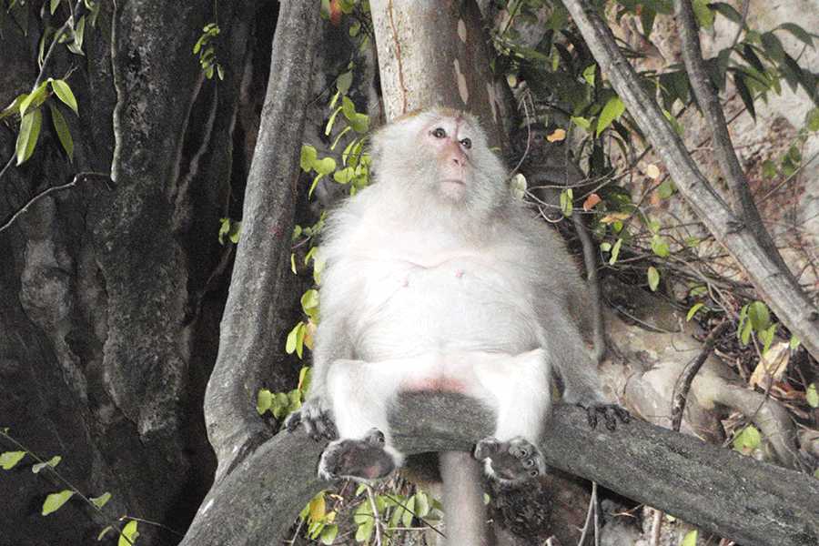 Sailtogether.com Thailand