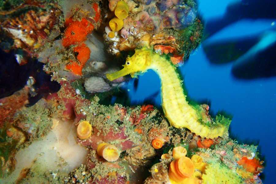 Sailtogether.com Thailand