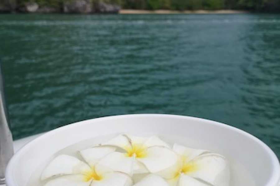 Sailtogether.com Thailand
