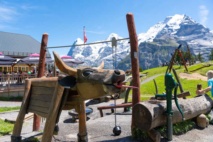 Schilthorn Cableway Ltd. Stechelberg - Allmendhubel, retour