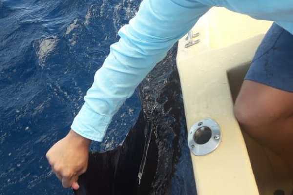 Private Fishing and Snorkeling Panga