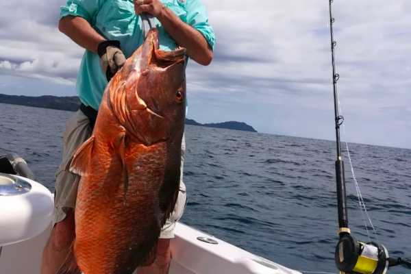 Private Fishing and Snorkeling Panga