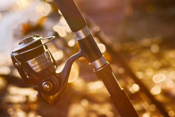 Private Fishing and Snorkeling Panga