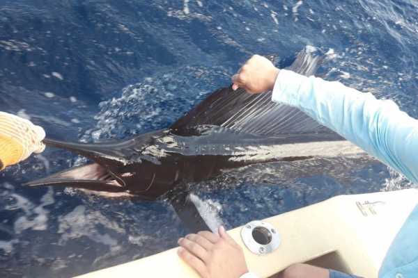 Private Fishing and Snorkeling Panga