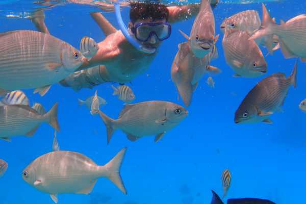 Private Fishing and Snorkeling Panga