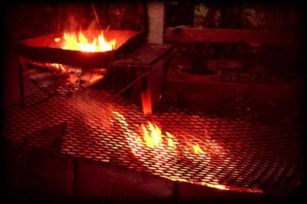 Canopy Zipline Tour and Gourmet BBQ Combo