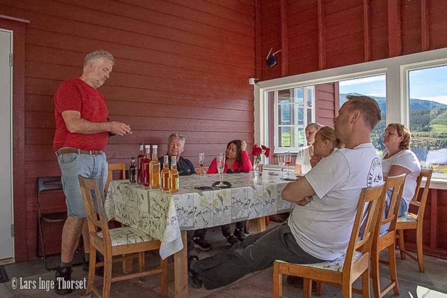 Hardanger Fjordsafari AS RIB tur 3+ timar