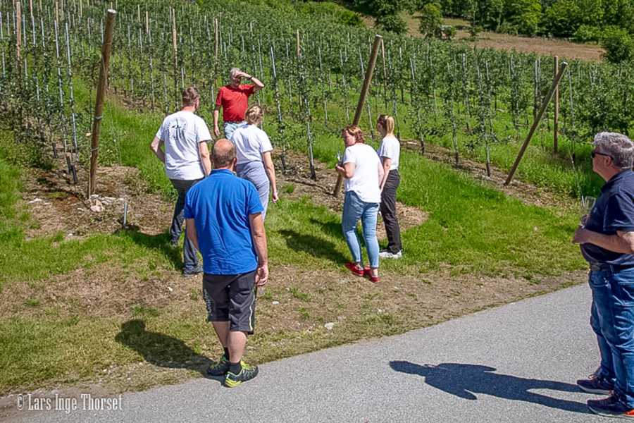 Hardanger Fjordsafari AS RIB tur 3+ timar