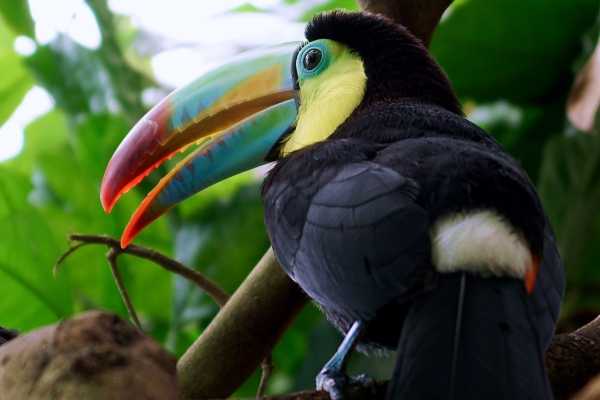 ATV Mountains and Jungles Tour